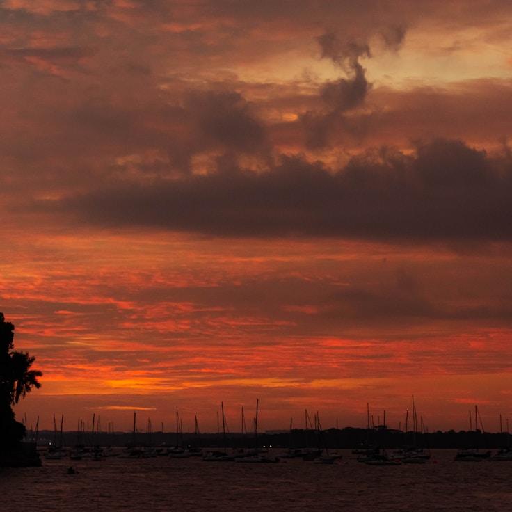 MutualSupportCenter yacht fleet
